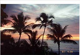 2nd image of 10217 Gulf Shore Dr