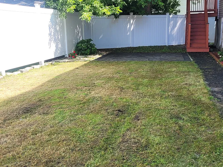 Yard image 2