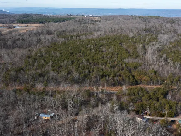 0 County Road 131, Bryant, AL 35958