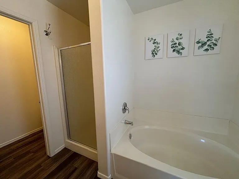 3230 Fan Palm Dr — Photo 9