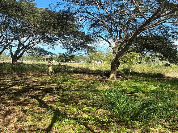 5th image of 305 Camino Saman #8