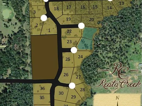 517 Wimberly Cir Lot 9, Hempstead, TX 77445