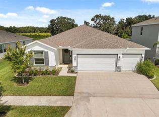 6016 WANDERING WILLOW DRIVE, WESLEY CHAPEL, FL 33545