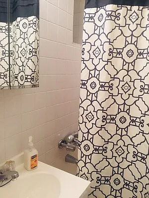 Rented by Manhattan Flats | media 20