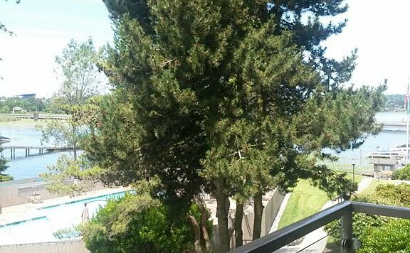 2nd image of 2501 Canterbury Ln E APT 317