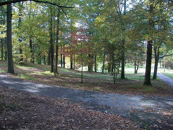 Another view of front yard