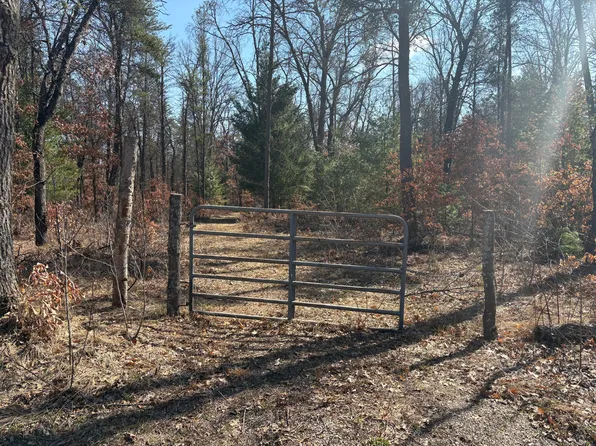 5222 S Broadway Ave, Idlewild, MI 49642