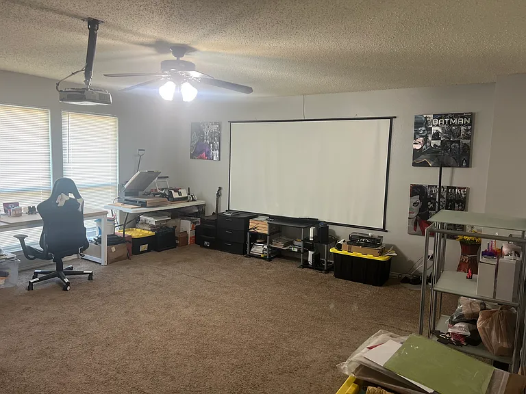Gameroom/Office Space