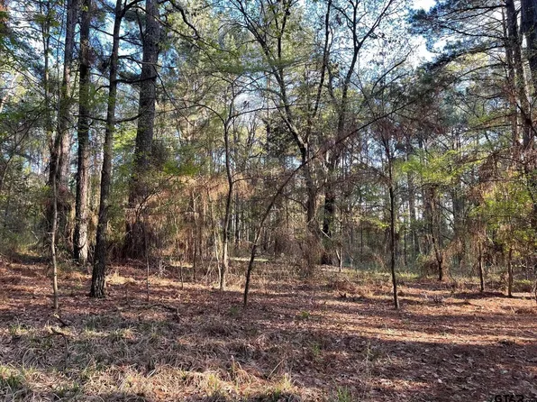 372 County Road 3907, Athens, TX 75752