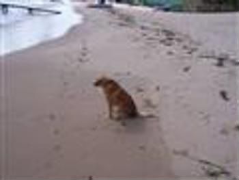 Best Beach