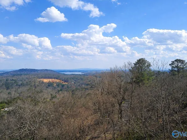 5055 County Road 48, Cedar Bluff, AL 35959