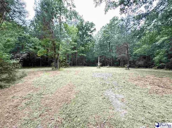 840 Lake City Hwy, Johnsonville, SC 29555