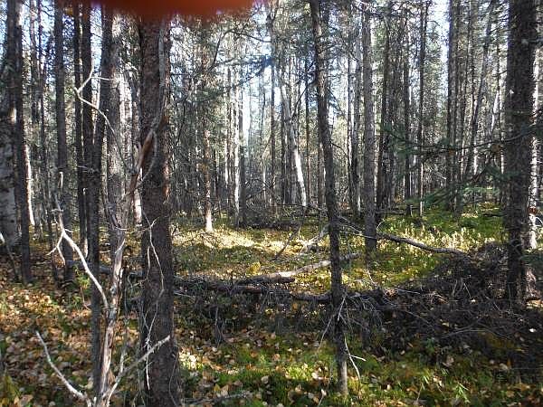 1st image of TOWNSHIP 19N Range 4w Sct 21 Lot B5