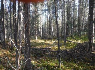 TOWNSHIP 19N Range 4w Sct 21 LOT B5, Willow, AK 99504