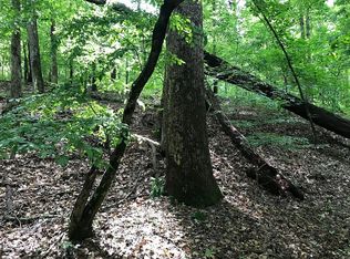 300 Noketchee Creek Rd, Athens, GA 30601