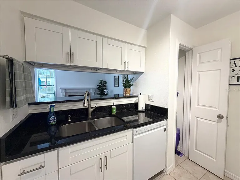 1000 W Horatio St #111 — Photo 10