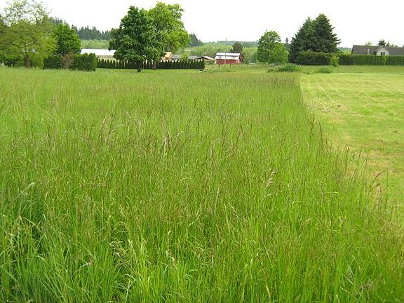 4th image of 0 Hays Ln SE