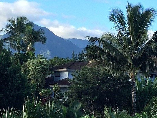 5th image of 3771 Kelii Pl Lot 45