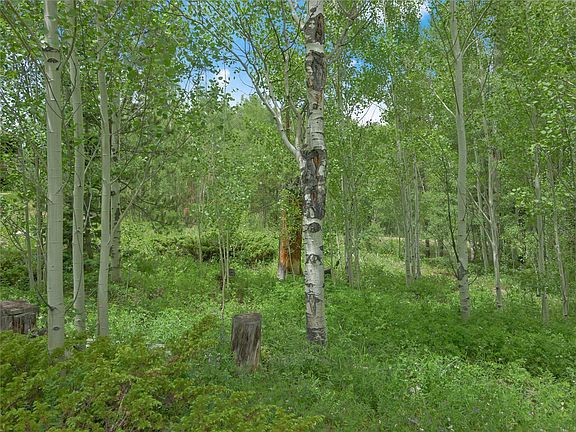 5th image of 616 Aspen Drive