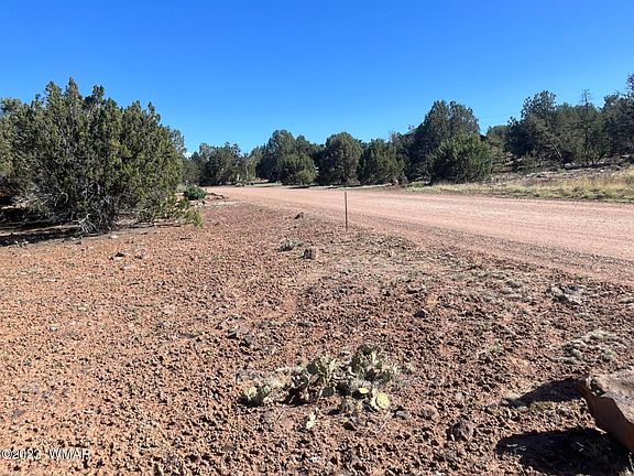 3rd image of 8334 Lone Pine Dr