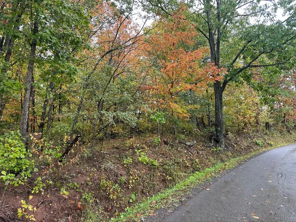 Horseshoe Bend Rd, Ronceverte, WV 24970