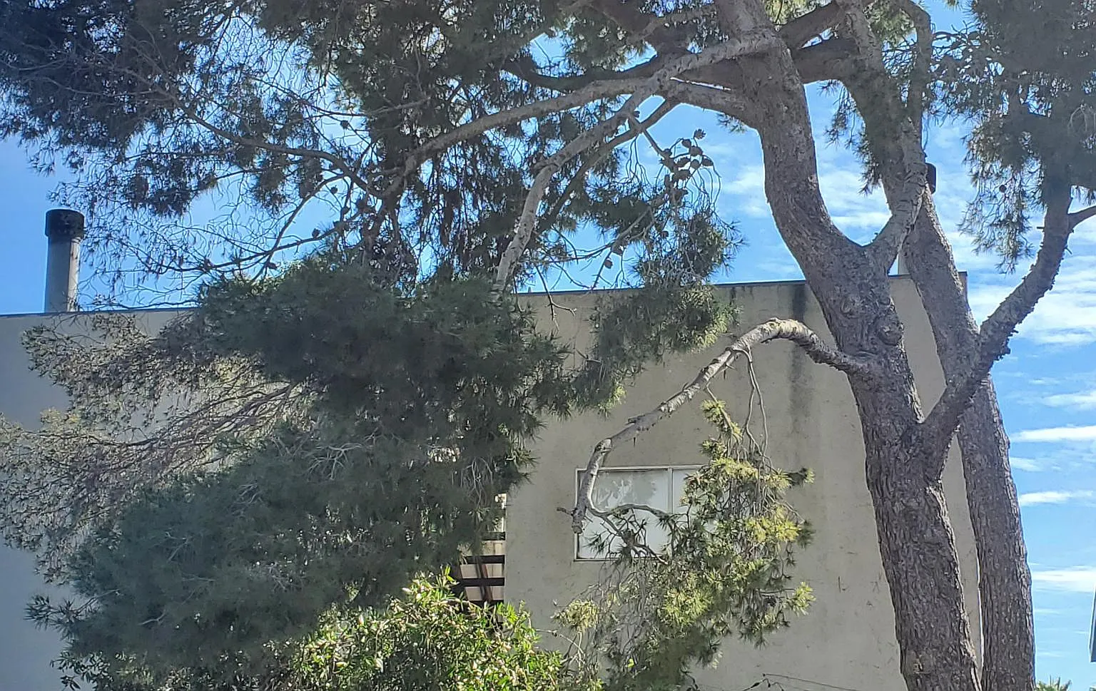 670 San Juan Ave — Photo 2