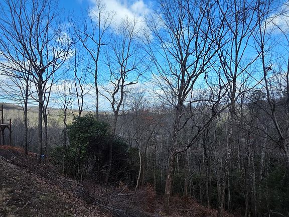 5th image of 101 The Overlook #At