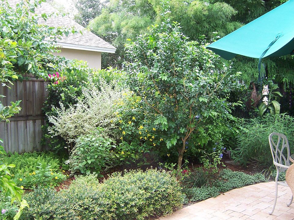 2nd image of 612 Buckingham Dr