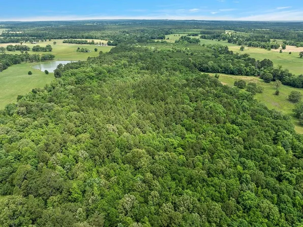 58.91 Acres Cres #2712, Alto, TX 75925