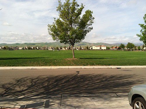 4th image of 604 Peregrine Dr
