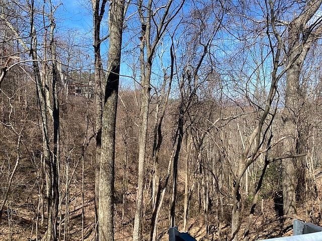 2nd image of 28 Saint Moritz Ct Lot 28