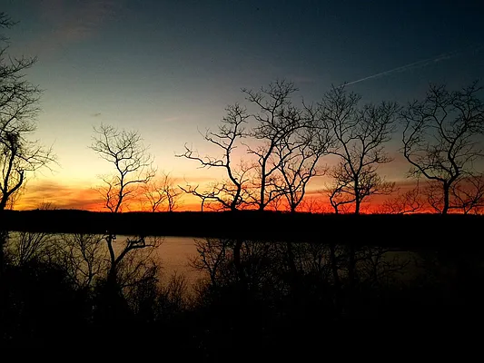 Sold by Compass | media 10