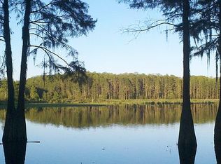 101 SE Parker Rd, Mayo, FL 32066