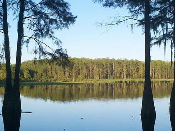 101 SE Parker Rd, Mayo, FL 32066