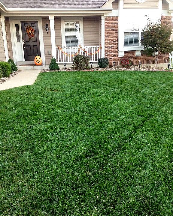Professionally landscaped