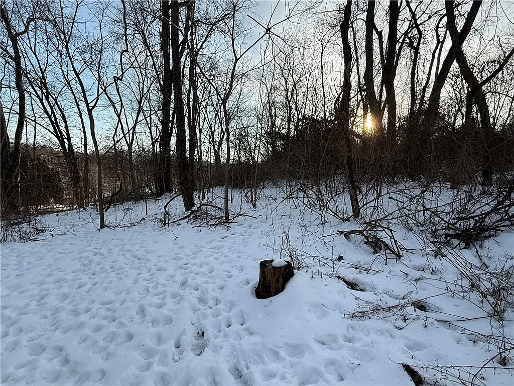 LOT 1 Millers Run Rd photo 1