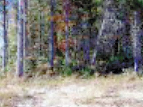 1st image of 202 Essex Ct