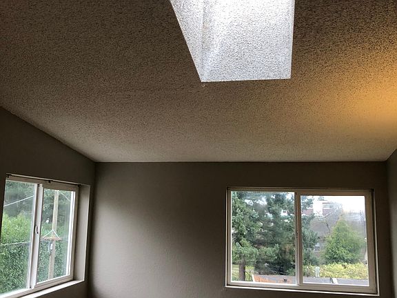 Living Room skylight