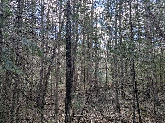 3rd image of 1392 Echo Ridge Rd