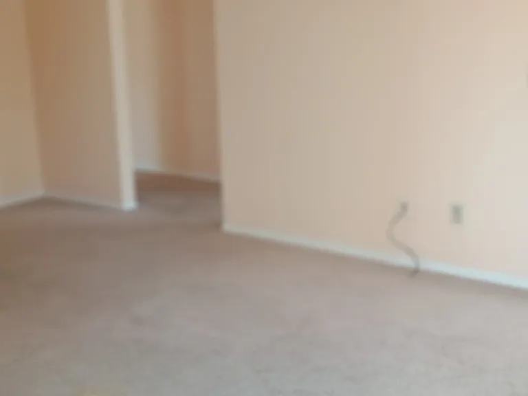 8513 Summerdale Rd #306 — Photo 9