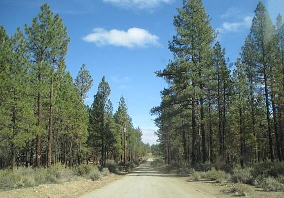 3rd image of 0 Pheasant Ln #16