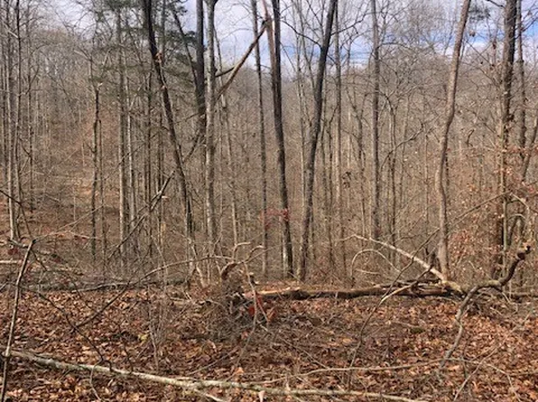 0 Oak Hill Dr Lot 7, Nunnelly, TN 37137