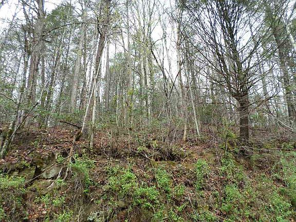 2nd image of Tracts 9 1 Boone Acres Ln