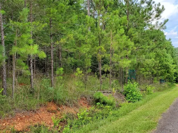N/a Arrowhead Rd, Dadeville, AL 36853