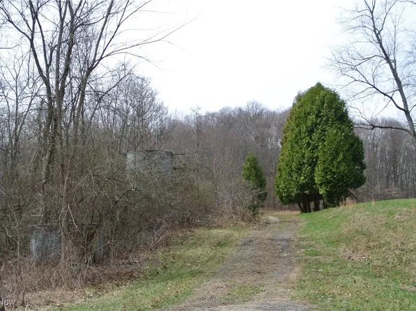 69517 Hopewell Rd, Cambridge, OH 43725