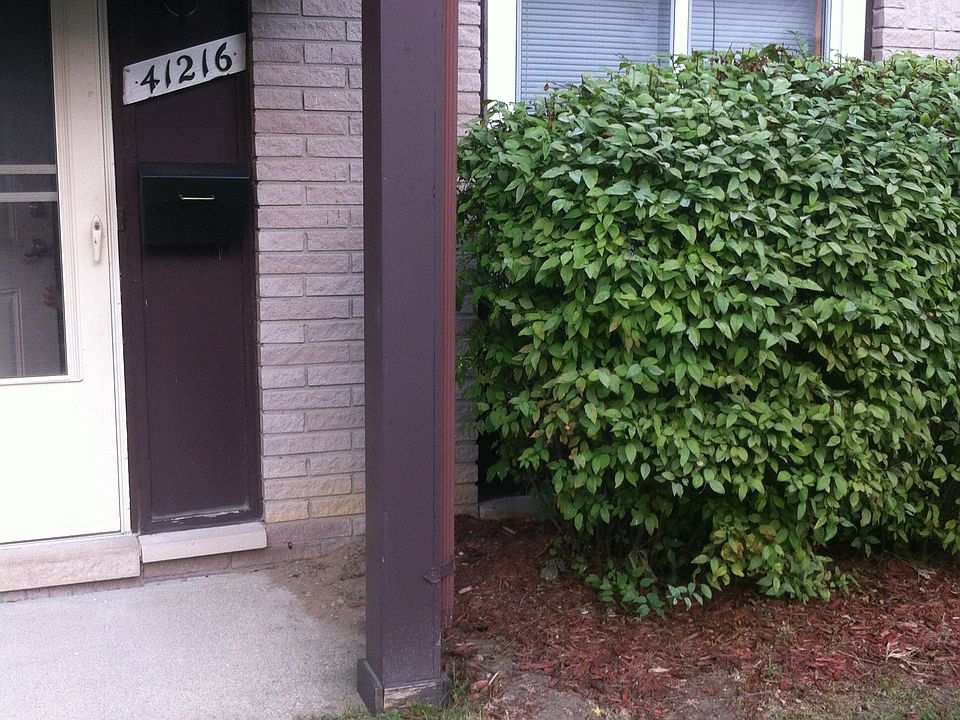 1st image of 41216 N Woodbury Green Dr