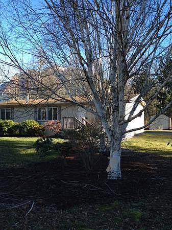 Front yard