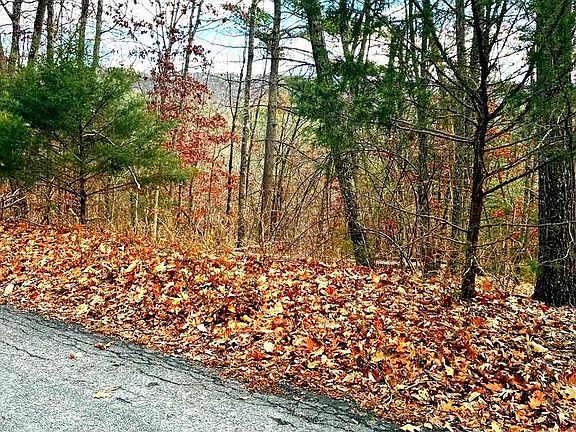 2nd image of Spitz Ln