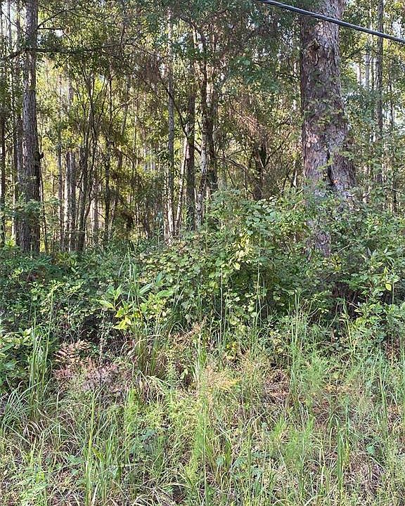 1st image of 0 NE 160th Ave