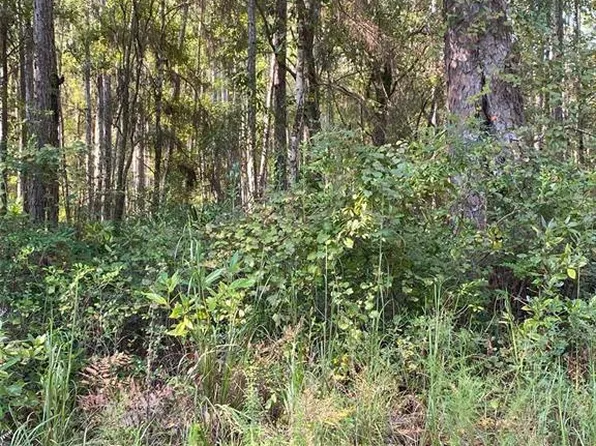 0 NE 160th Ave, Waldo, FL 32694